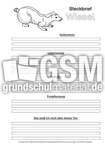 Wiesel-Steckbriefvorlage-sw.pdf